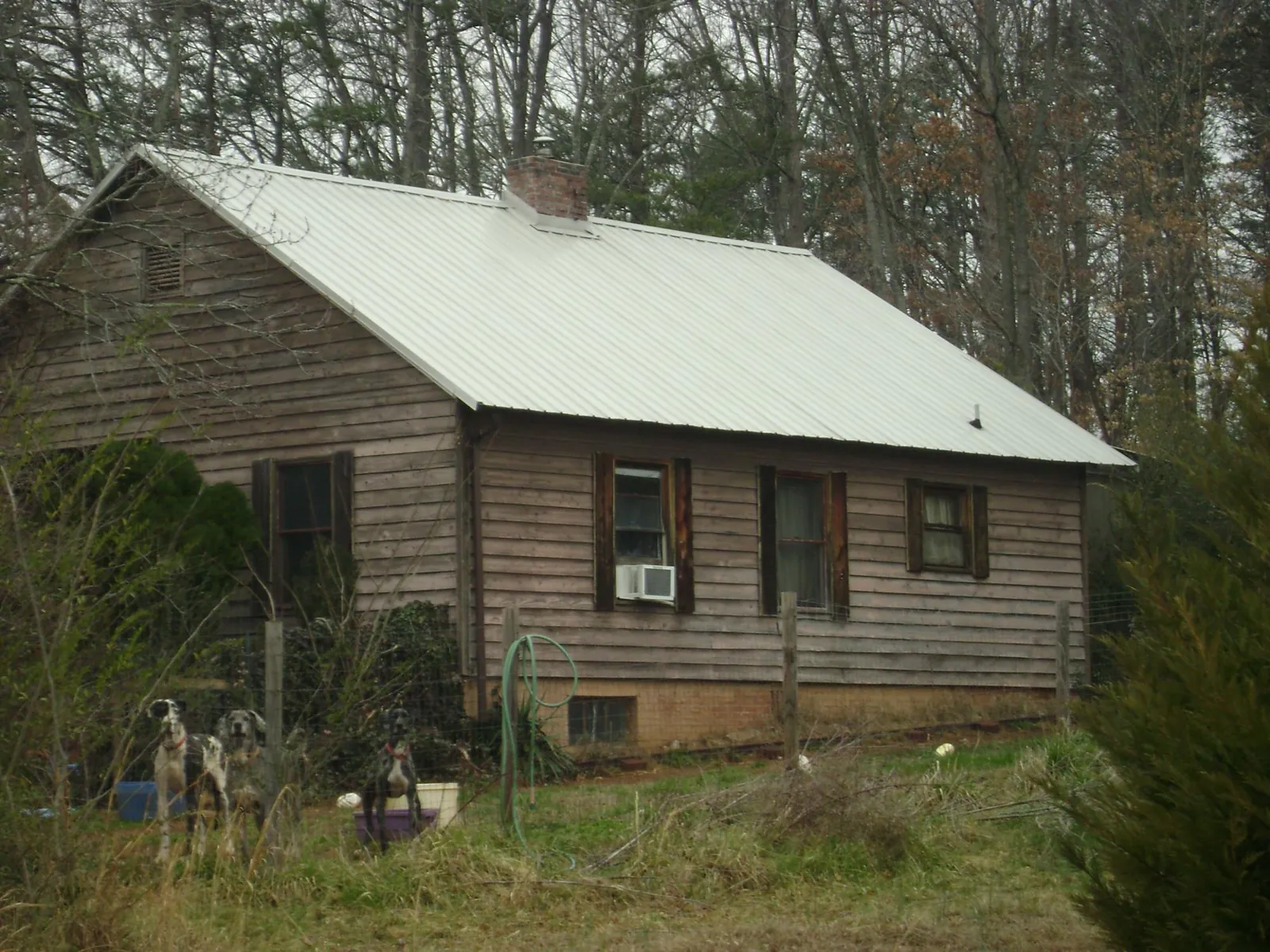 White metal roof on an old wood sided farmhouse, from a Metal Roof Installation job in Molalla